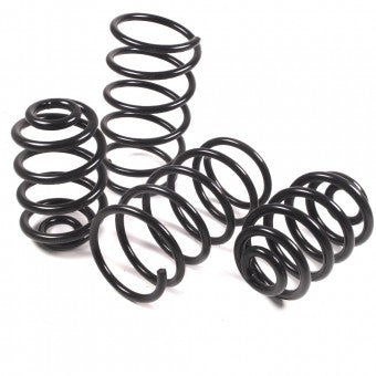 Mazda RX-8 & R3 Eibach Pro-Kit Performance Springs